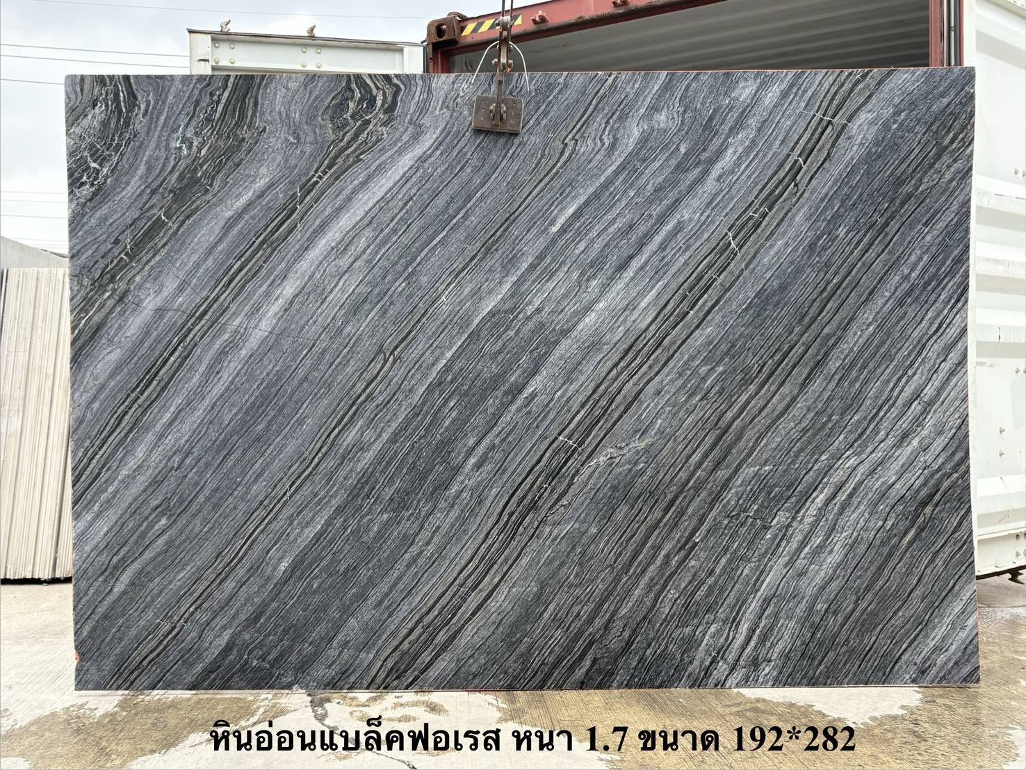 ./ProdImg/cover/MB14 แบล็คฟอเรส/20251112153733.jpg